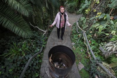 The struggle to save the tropical plants of Kyiv's Botanical Garden