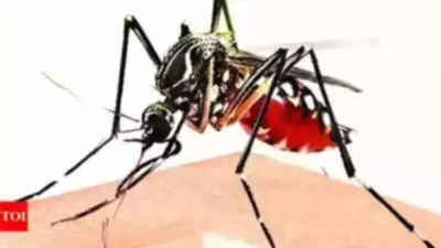 Two more Dengue fatalities confirmed in Delhi, toll rises to 7; over 4,300 total cases