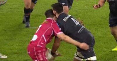 Ospreys v Scarlets incident sees red card after just five minutes as fans split