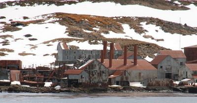 Edinburgh's abandoned whale hunting station that lies deserted and access prohibited