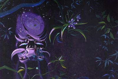Art show examines weird world of orchids