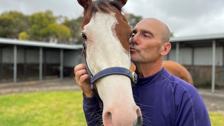 Racehorse Comanche Queen saves SA trackwork rider…