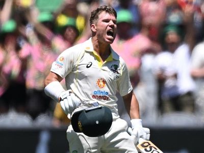 Warner roars to double ton, retires hurt
