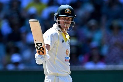 Australia's Warner not out 86 in 100th Test as South Africa toil