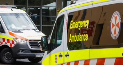 Girl, 4, fighting for life after being pulled from pool as family desperately gives CPR