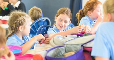 Delaying free school meals to all primary kids branded 'shameful' by Scots teaching union