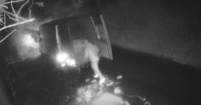 Belfast Hills Partnership makes festive plea to 'fly-tippers' polluting area with waste