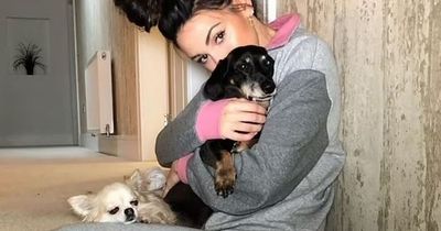 Michelle Keegan celebrates 'amazing' return of dog who was stolen 18 months ago