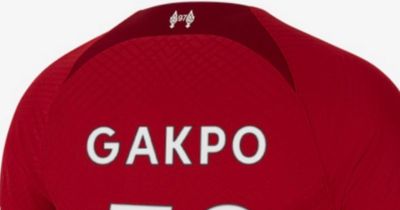 Cody Gakpo shirt number options at Liverpool including nostalgic choice