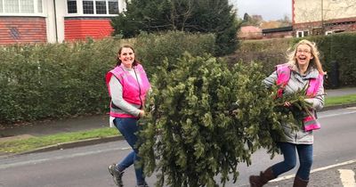 How to donate your Christmas tree to charity - they'll collect it from you across Manchester