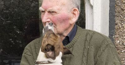 Tributes to dog campaigner Donal Rogers following his death on Christmas Day