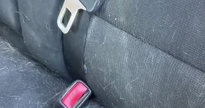 Woman's heartbreaking reason for not cleaning her car in 3 months leaves people in tears