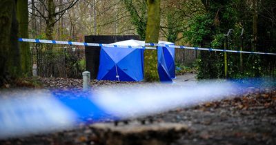 BREAKING: Murder investigation launched after man stabbed near park