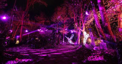 Six fun things to in Dublin between now and New Year's Eve