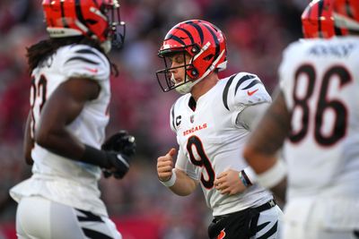 Bengals would have tough playoff matchup based on current standings