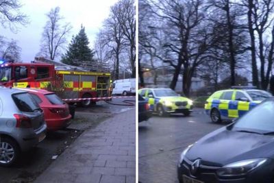 Man hit by car on Christmas Eve in hit-and-run murder bid