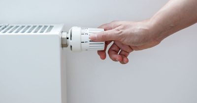 The seven things you should do before turning the heating on in the winter