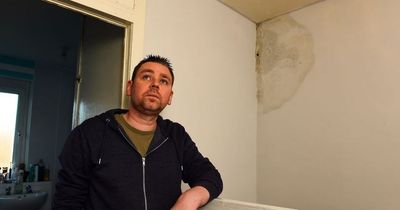 Scots council tenant fears for family's health with mouldy walls in house