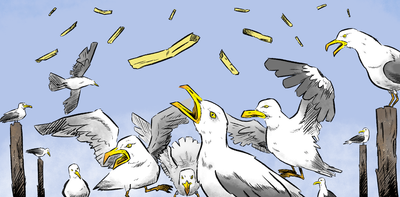4 facts about seagulls that will make you love these relentless chip thieves