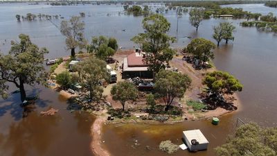 River Murray floodwaters turn Moorook home into an island, with thousands of South Australian properties now inundated