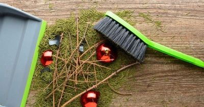 The 59p trick to clean up Christmas tree needles without breaking your vacuum
