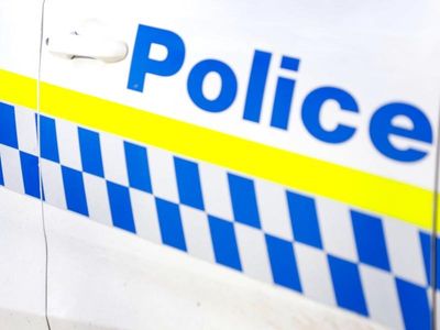 Qld man hit by tree branch dies in Tas