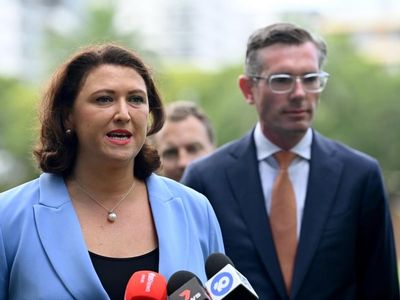 NSW premier hails more Lib women on ballot