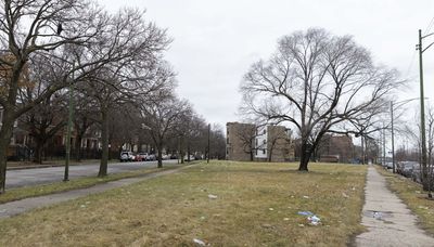 South, West side residents gear up for city sale of vacant lots