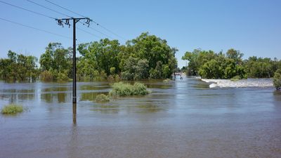 River Murray peak passes Renmark, up to 1,800 properties flooded so far
