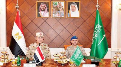 Riyadh, Cairo Discuss Defense Cooperation