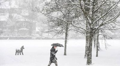 Weather Extremes Becoming 'New Normal', Warns UK's National Trust