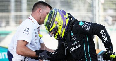 Mercedes complaints amid Lewis Hamilton agony prompted porpoising "overreaction" from FIA