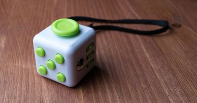 Government agency spent almost £1,500 on branded fidget cubes for civil servants