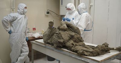 Russian lab attempts to re-awaken 'Zombie virus' found in frozen woolly mammoth