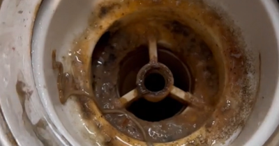 Cleaning fan shares easy hack for getting rid of kitchen sink smell using only kitchen roll and a bowl