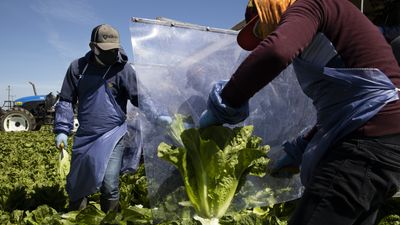 Farmworkers brace for more time in the shadows after latest effort fails in Congress