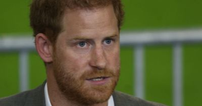 Prince Harry's 'shocking outburst' after royal fan’s Christmas request