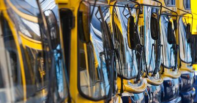 Driver hospitalised after bus crashes in Co Wicklow