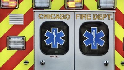 Woman rescued by Chicago firefighters after she jumps into Lake Michigan to save dog