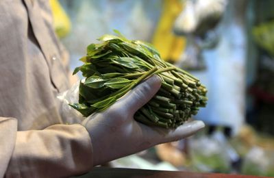 Saudi Arabia seizes 30 tonnes of the narcotic khat