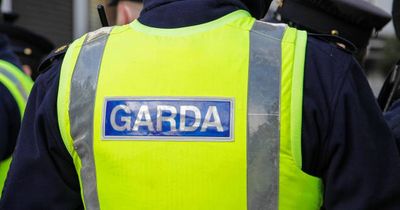 Gardaí treating death of Ukrainian man in accommodation centre in Bruff, Co Limerick as tragic accident