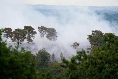 2022 the warmest year on record for the UK, Met Office says