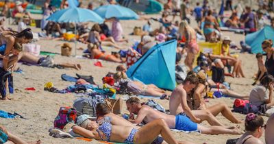 Met Office figures show 2022 provisionally the warmest year on record for UK