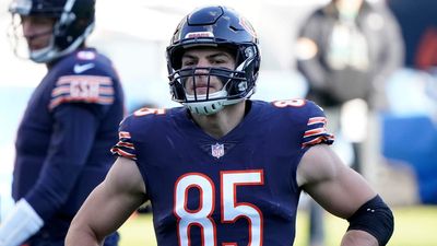 Week 17 Stat Projections: Tight End Rankings