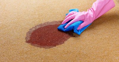 Cleaning expert swears by £1.50 item for scrubbing food and drinks stains out of carpets