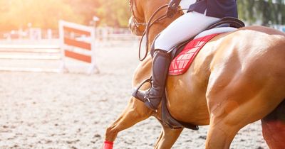 'My boyfriend wants me to put down my horse to prioritise our relationship'