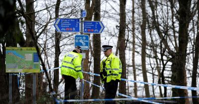 Cycle lane sealed off as police investigate "serious sexual assault"