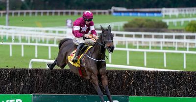 Conflated earns Cheltenham Gold Cup shot after dominant Savills Chase win at Leopardstown