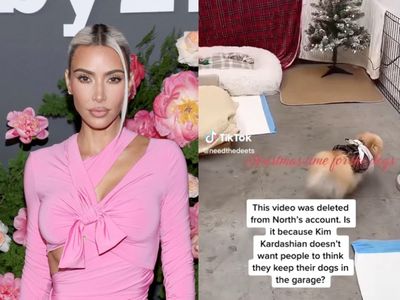 Kim Kardashian sparks debate over deleted TikTok showing pet dogs in garage