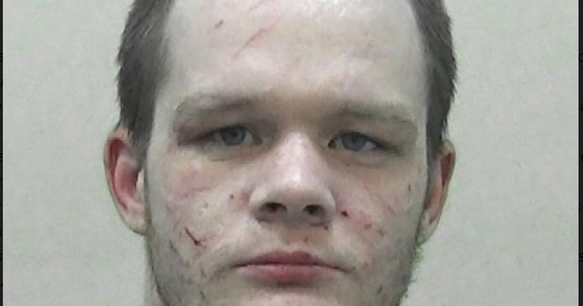 Gateshead man jailed after filming himself punching…